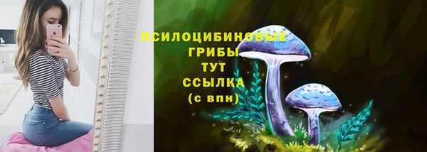 герыч Инта