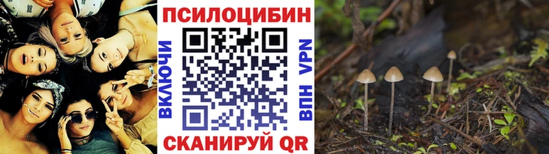 Псилоцибиновые грибы прущие грибы Вуктыл